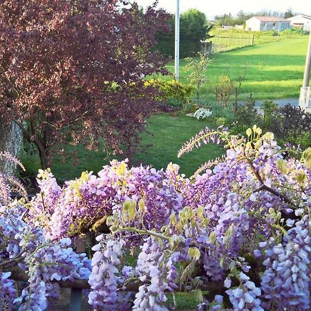 Les Glycines Bed & Breakfast Eymet Exteriér fotografie